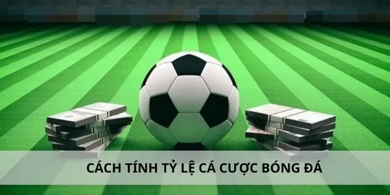 Tìm Hiểu Cá Cược Bóng Đá 79King: Hướng Dẫn Chi Tiết 2025