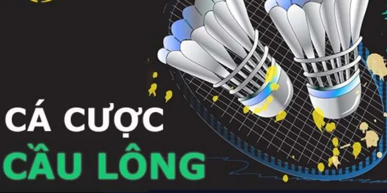 Hướng Dẫn Chơi Cá Cược Cầu Lông Tại 79King Chi Tiết Nhất 2025
